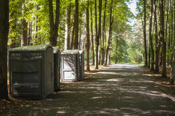  Minturn, CO Tree Removal Pros